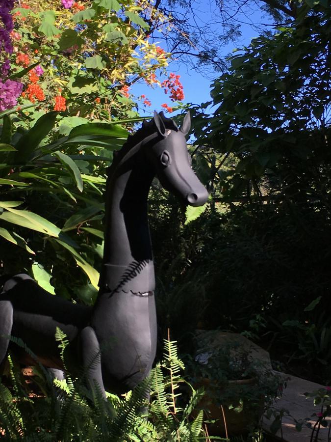 La Villa Mandarine Rabat Eksteriør bilde
